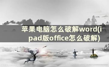 苹果电脑怎么破解word(ipad版office怎么破解)