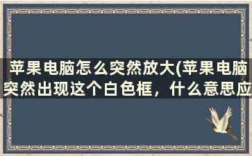 苹果电脑怎么突然放大(苹果电脑突然出现这个白色框，什么意思应该如何删除掉)