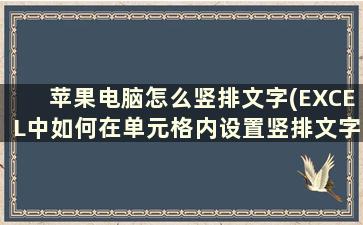 苹果电脑怎么竖排文字(EXCEL中如何在单元格内设置竖排文字)