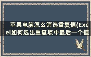 苹果电脑怎么筛选重复值(Excel如何选出重复项中最后一个值)