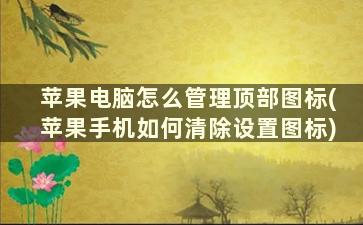 苹果电脑怎么管理顶部图标(苹果手机如何清除设置图标)