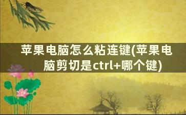 苹果电脑怎么粘连键(苹果电脑剪切是ctrl+哪个键)