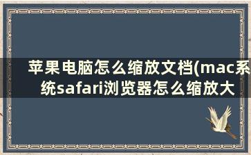 苹果电脑怎么缩放文档(mac系统safari浏览器怎么缩放大小)