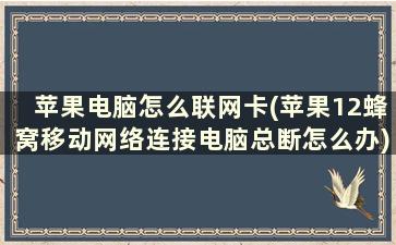 苹果电脑怎么联网卡(苹果12蜂窝移动网络连接电脑总断怎么办)