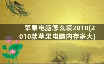 苹果电脑怎么装2010(2010款苹果电脑内存多大)