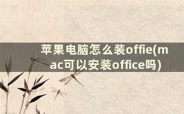 苹果电脑怎么装offie(mac可以安装office吗)