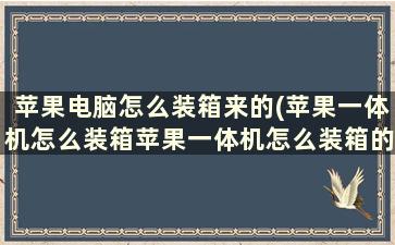 苹果电脑怎么装箱来的(苹果一体机怎么装箱苹果一体机怎么装箱的)