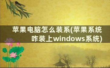 苹果电脑怎么装系(苹果系统咋装上windows系统)