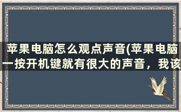 苹果电脑怎么观点声音(苹果电脑一按开机键就有很大的声音，我该怎么弄呀)