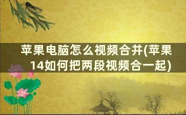 苹果电脑怎么视频合并(苹果14如何把两段视频合一起)