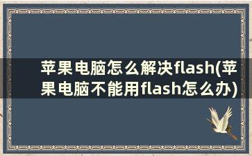 苹果电脑怎么解决flash(苹果电脑不能用flash怎么办)