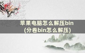 苹果电脑怎么解压bin(分卷bin怎么解压)