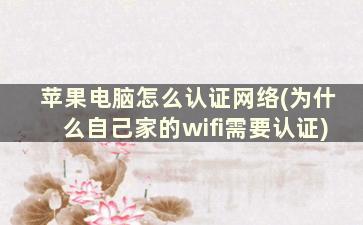 苹果电脑怎么认证网络(为什么自己家的wifi需要认证)