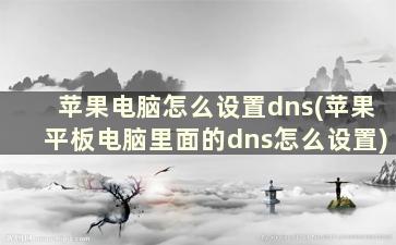 苹果电脑怎么设置dns(苹果平板电脑里面的dns怎么设置)