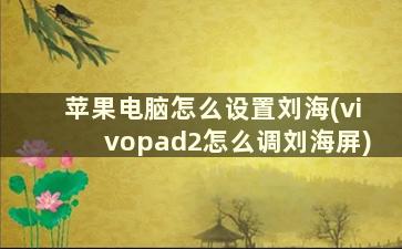 苹果电脑怎么设置刘海(vivopad2怎么调刘海屏)