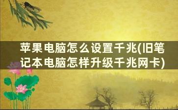 苹果电脑怎么设置千兆(旧笔记本电脑怎样升级千兆网卡)