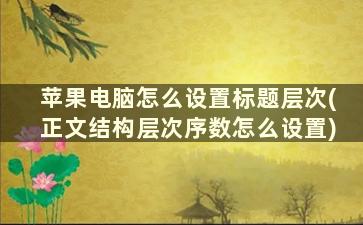 苹果电脑怎么设置标题层次(正文结构层次序数怎么设置)