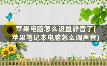 苹果电脑怎么设置静音了(苹果笔记本电脑怎么调声音)