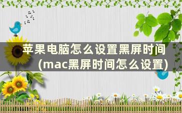 苹果电脑怎么设置黑屏时间(mac黑屏时间怎么设置)