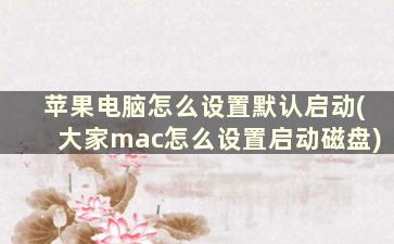 苹果电脑怎么设置默认启动(大家mac怎么设置启动磁盘)