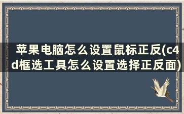 苹果电脑怎么设置鼠标正反(c4d框选工具怎么设置选择正反面)