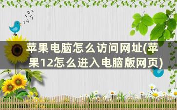 苹果电脑怎么访问网址(苹果12怎么进入电脑版网页)