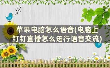 苹果电脑怎么语音(电脑上钉钉直播怎么进行语音交流)