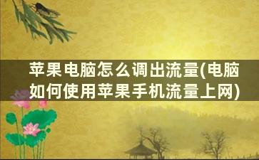 苹果电脑怎么调出流量(电脑如何使用苹果手机流量上网)