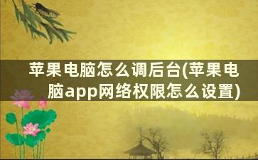 苹果电脑怎么调后台(苹果电脑app网络权限怎么设置)