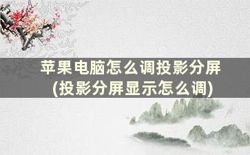 苹果电脑怎么调投影分屏(投影分屏显示怎么调)