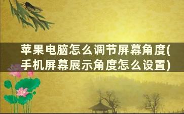 苹果电脑怎么调节屏幕角度(手机屏幕展示角度怎么设置)