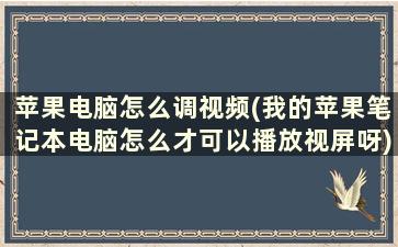 苹果电脑怎么调视频(我的苹果笔记本电脑怎么才可以播放视屏呀)