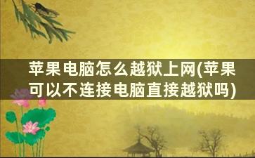 苹果电脑怎么越狱上网(苹果可以不连接电脑直接越狱吗)