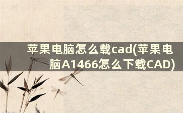 苹果电脑怎么载cad(苹果电脑A1466怎么下载CAD)