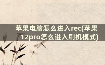 苹果电脑怎么进入rec(苹果12pro怎么进入刷机模式)