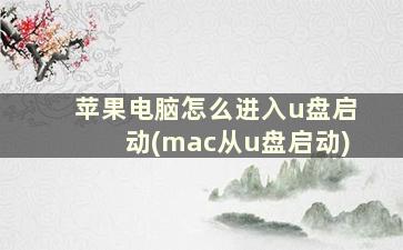 苹果电脑怎么进入u盘启动(mac从u盘启动)