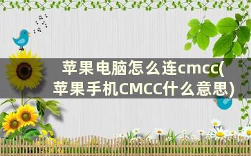 苹果电脑怎么连cmcc(苹果手机CMCC什么意思)