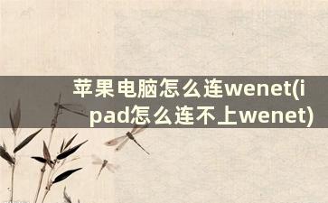 苹果电脑怎么连wenet(ipad怎么连不上wenet)