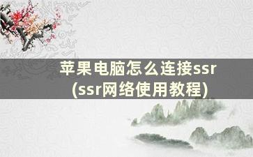 苹果电脑怎么连接ssr(ssr网络使用教程)