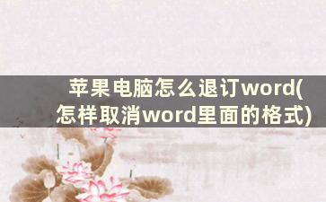 苹果电脑怎么退订word(怎样取消word里面的格式)