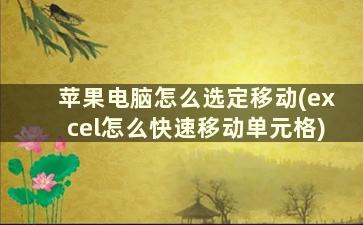 苹果电脑怎么选定移动(excel怎么快速移动单元格)