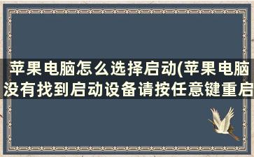 苹果电脑怎么选择启动(苹果电脑没有找到启动设备请按任意键重启设备)