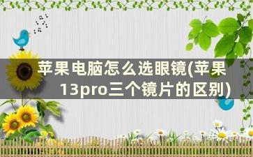 苹果电脑怎么选眼镜(苹果13pro三个镜片的区别)