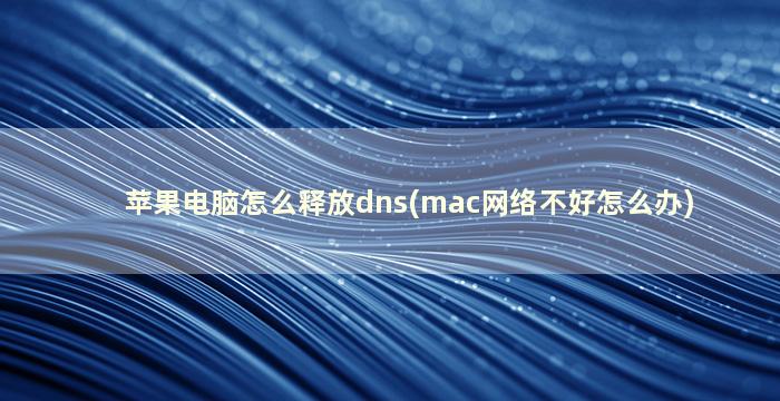 苹果电脑怎么释放dns(mac网络不好怎么办)