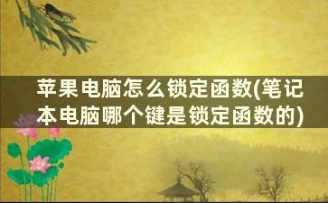 苹果电脑怎么锁定函数(笔记本电脑哪个键是锁定函数的)