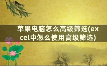 苹果电脑怎么高级筛选(excel中怎么使用高级筛选)