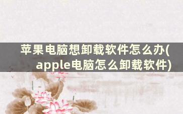 苹果电脑想卸载软件怎么办(apple电脑怎么卸载软件)