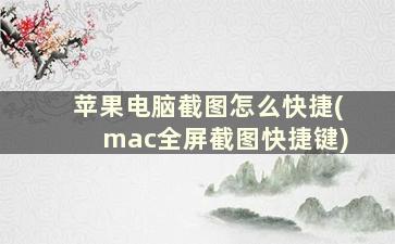 苹果电脑截图怎么快捷(mac全屏截图快捷键)