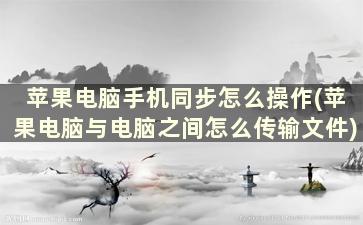 苹果电脑手机同步怎么操作(苹果电脑与电脑之间怎么传输文件)