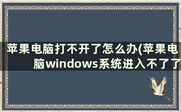 苹果电脑打不开了怎么办(苹果电脑windows系统进入不了了)